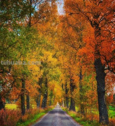 9个拍照技巧，生活中普通场景，也能拍得很好看，新手一看就会 - 图画吧TUHUABA