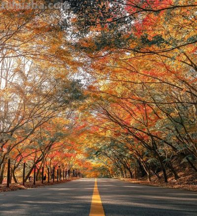 9个拍照技巧，生活中普通场景，也能拍得很好看，新手一看就会 - 图画吧TUHUABA