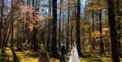 丽江婚纱摄影行业深度研究报告：市场格局、消费趋势与发展前景 - 图画吧TUHUABA