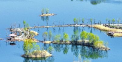 不懂花语何谈赏花？15种山西常见花花语奉上！ - 今日头条