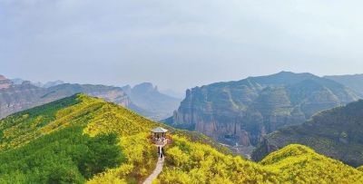 不懂花语何谈赏花?15种山西常见花花语奉上! - 今日头条 不懂花语何谈赏花?15种山西常见花花语奉上! - 图画吧TUHUABA