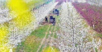 不懂花语何谈赏花?15种山西常见花花语奉上! - 今日头条 不懂花语何谈赏花?15种山西常见花花语奉上! - 图画吧TUHUABA