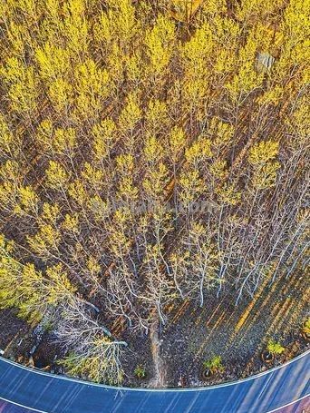 不懂花语何谈赏花?15种山西常见花花语奉上! - 今日头条 不懂花语何谈赏花?15种山西常见花花语奉上! - 图画吧TUHUABA