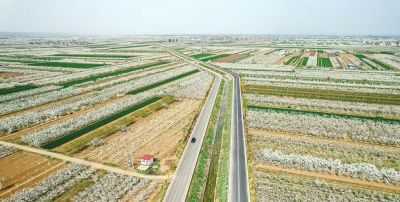 不懂花语何谈赏花?15种山西常见花花语奉上! - 今日头条 不懂花语何谈赏花?15种山西常见花花语奉上! - 图画吧TUHUABA