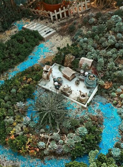 家庭园艺嘉年华丨多肉的小世界 很ᵒᵒᵒᵒᵒᵏ - 图画吧TUHUABA