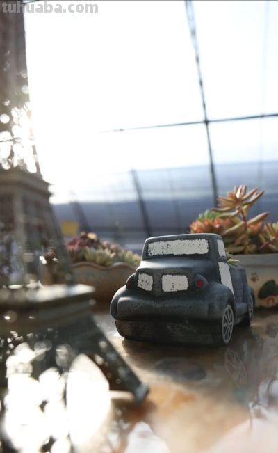 家庭园艺嘉年华丨多肉的小世界 很ᵒᵒᵒᵒᵒᵏ - 图画吧TUHUABA