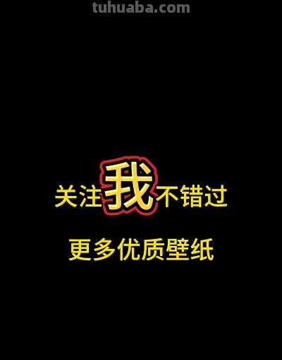 壁纸（350）多肉植物 - 图画吧TUHUABA