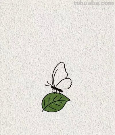 画个简笔画分享 - 图画吧TUHUABA