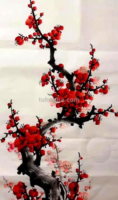 原来画好梅花这么简单！教程细腻到连新手都能懂 - 图画吧TUHUABA