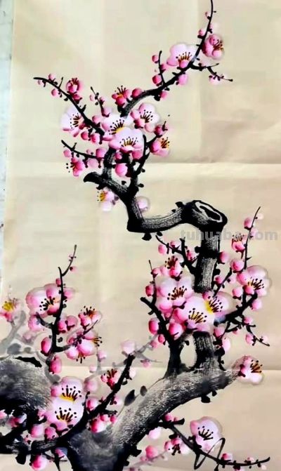 原来画好梅花这么简单！教程细腻到连新手都能懂 - 图画吧TUHUABA
