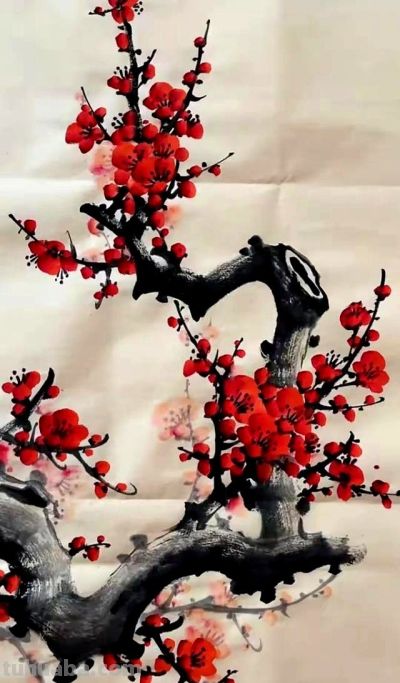 原来画好梅花这么简单！教程细腻到连新手都能懂 - 图画吧TUHUABA