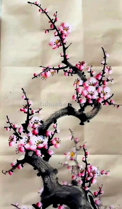 原来画好梅花这么简单！教程细腻到连新手都能懂 - 图画吧TUHUABA
