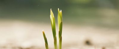 那些曾被忽视的孩子，悄悄开出了花 - 图画吧TUHUABA