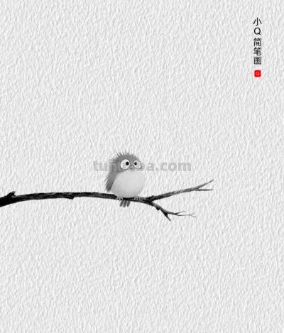 治愈系一只小小鸟简笔画分享丨小Q简笔画 - 今日头条