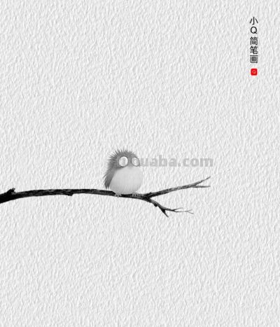 治愈系一只小小鸟简笔画分享丨小Q简笔画 - 图画吧TUHUABA