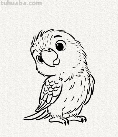 可爱的小鹦鹉丨涂鸦简笔画分享 - 今日头条
