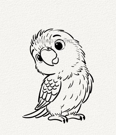 可爱的小鹦鹉丨涂鸦简笔画分享 - 图画吧TUHUABA