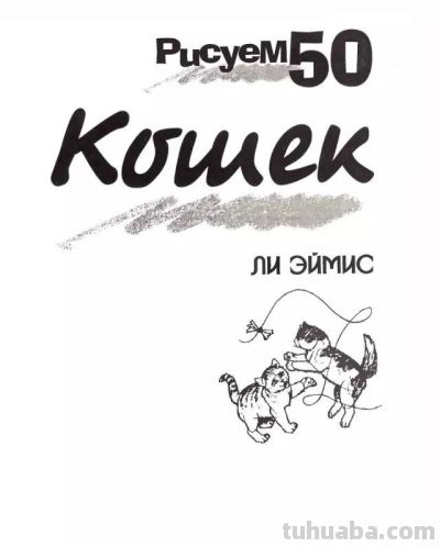 画画 |分步骤的 50种猫猫的画法——赶紧为喵主子收藏起来 - 今日头条