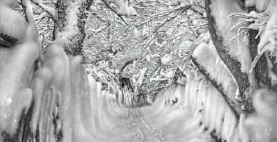 这铅笔画堪比黑白摄影！太强大啦！ - 图画吧TUHUABA