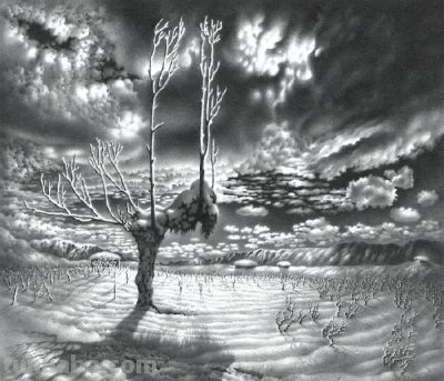 这铅笔画堪比黑白摄影！太强大啦！ - 图画吧TUHUABA