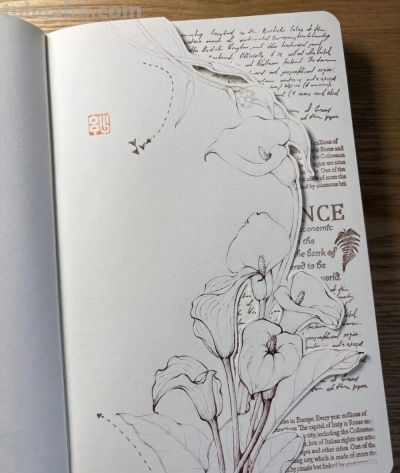 植物速写：马蹄莲（异形篇） - 图画吧TUHUABA