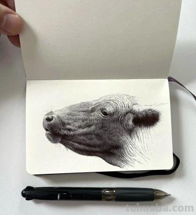 圆珠笔素描：随身速写本中的“手绘照片” - 图画吧TUHUABA