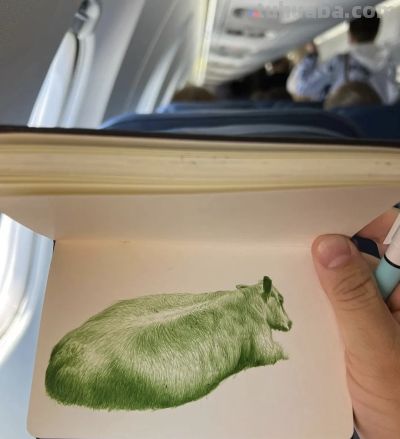 圆珠笔素描：随身速写本中的“手绘照片” - 图画吧TUHUABA