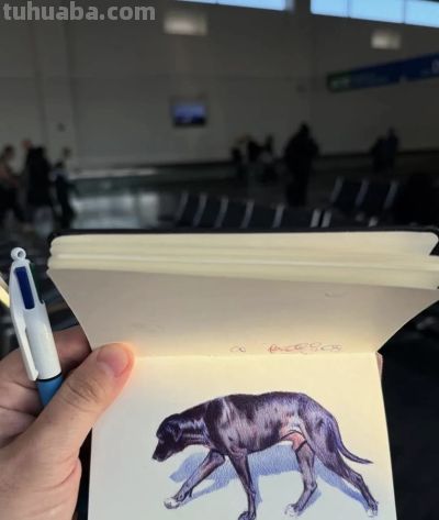 圆珠笔素描：随身速写本中的“手绘照片” - 图画吧TUHUABA