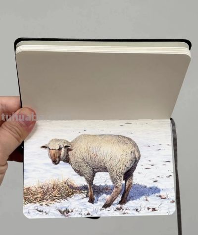 圆珠笔素描：随身速写本中的“手绘照片” - 图画吧TUHUABA