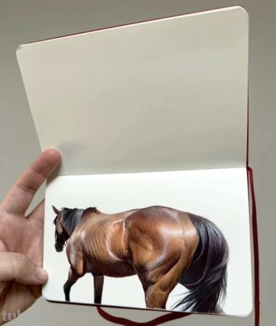 圆珠笔素描：随身速写本中的“手绘照片” - 图画吧TUHUABA