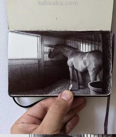 圆珠笔素描：随身速写本中的“手绘照片” - 图画吧TUHUABA