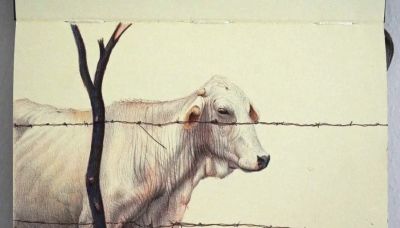 圆珠笔素描：随身速写本中的“手绘照片” - 图画吧TUHUABA