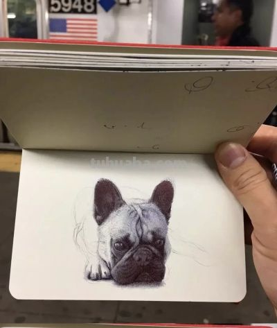 圆珠笔素描：随身速写本中的“手绘照片” - 图画吧TUHUABA