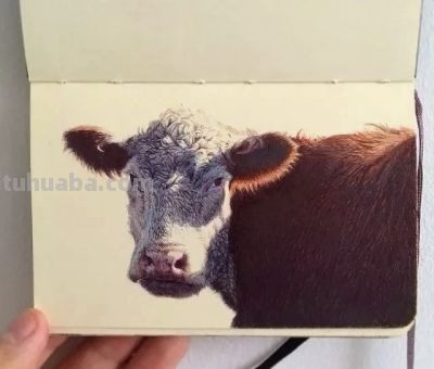 圆珠笔素描：随身速写本中的“手绘照片” - 图画吧TUHUABA