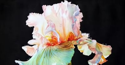 水彩画能画成这样，我算服啦！ - 图画吧TUHUABA