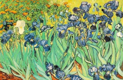 梵高最好看的油画作品 - 图画吧TUHUABA