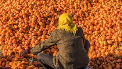 从记录到表达！学会这5个摄影技巧，让镜头讲故事！ - 图画吧TUHUABA