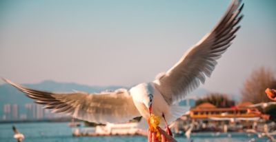 从记录到表达！学会这5个摄影技巧，让镜头讲故事！ - 图画吧TUHUABA