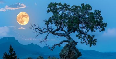 从记录到表达！学会这5个摄影技巧，让镜头讲故事！ - 图画吧TUHUABA