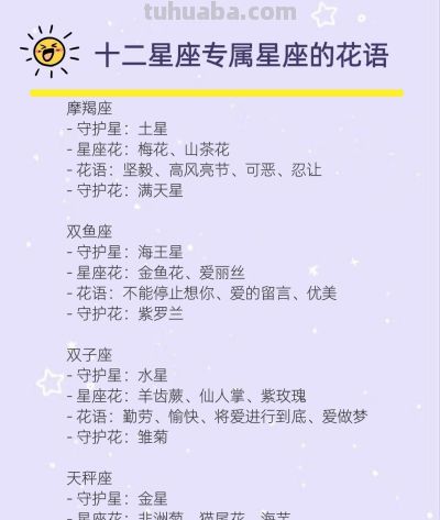 十二星座专属星座花语，太美了 - 图画吧TUHUABA