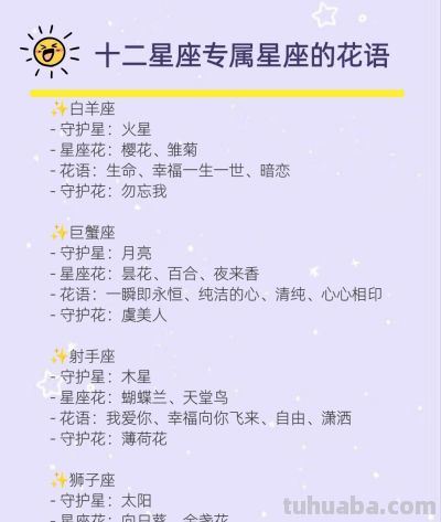 十二星座专属星座花语，太美了 - 图画吧TUHUABA