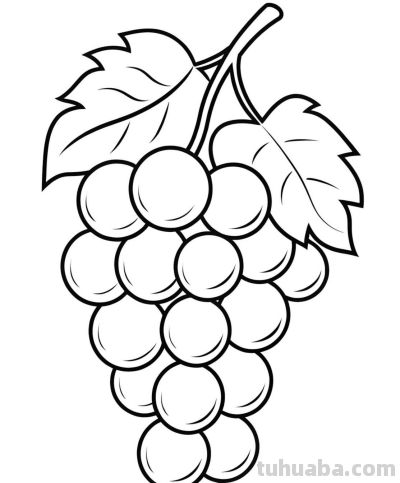 22张水果简笔画手绘线稿 - 图画吧TUHUABA