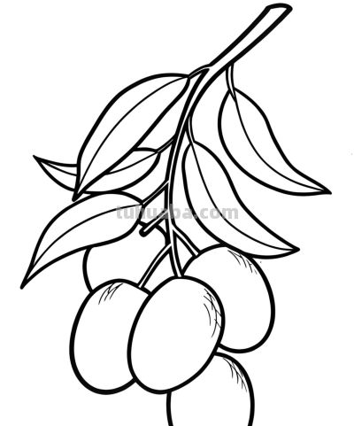 22张水果简笔画手绘线稿 - 图画吧TUHUABA
