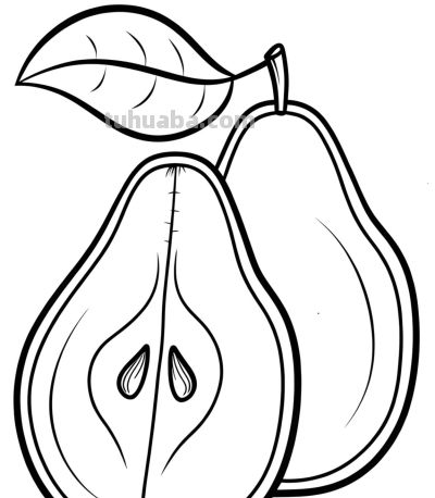 22张水果简笔画手绘线稿 - 图画吧TUHUABA