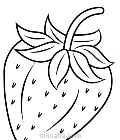 22张水果简笔画手绘线稿 - 图画吧TUHUABA
