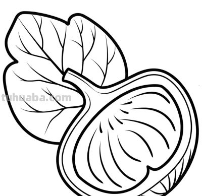 22张水果简笔画手绘线稿 - 图画吧TUHUABA