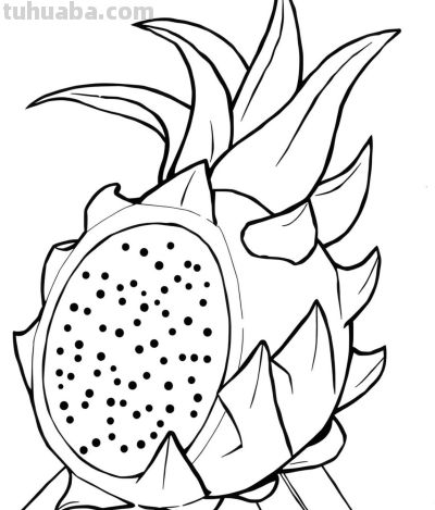 22张水果简笔画手绘线稿 - 图画吧TUHUABA