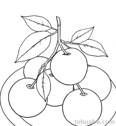 22张水果简笔画手绘线稿 - 图画吧TUHUABA