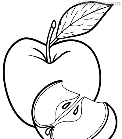 22张水果简笔画手绘线稿 - 图画吧TUHUABA