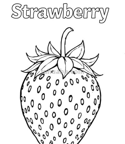 22张水果简笔画手绘线稿 - 图画吧TUHUABA